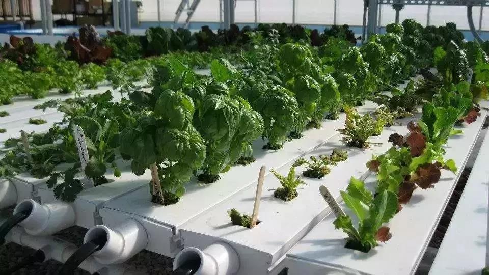 undefined 微信圖片_20181019085443.jpg