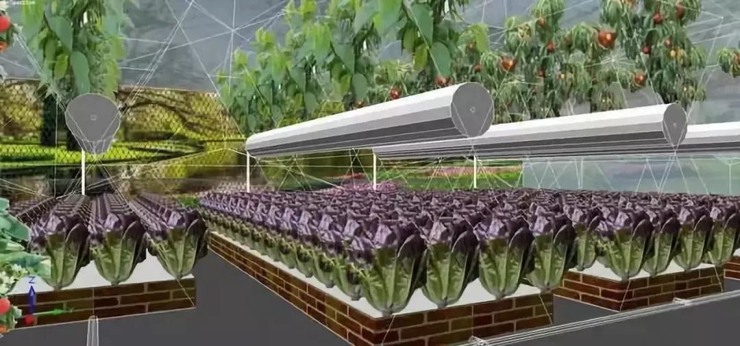 undefined 微信圖片_20181019085449.jpg