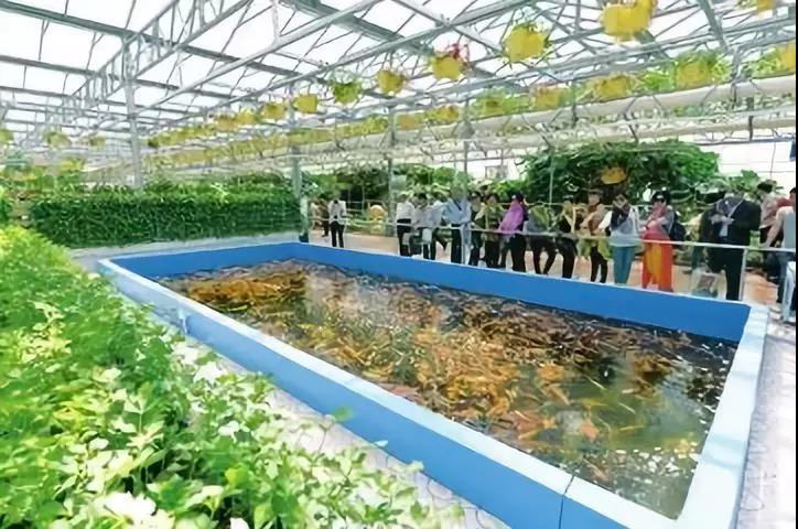 undefined 微信圖片_20181019085452.jpg