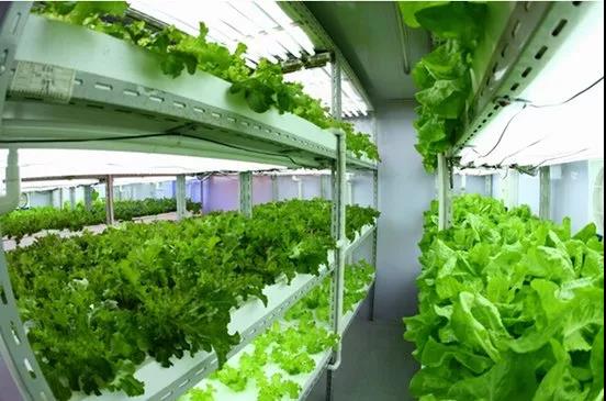 undefined 微信圖片_20181025161424.jpg