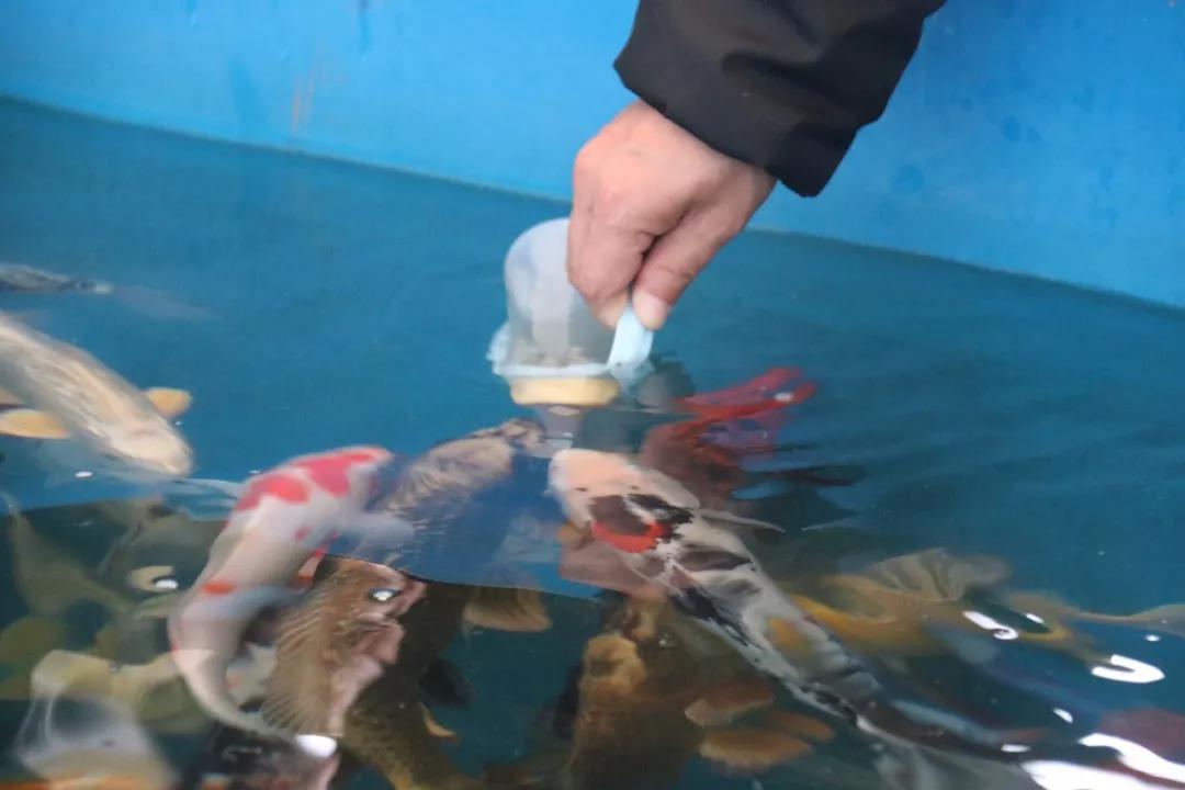 undefined 微信圖片_20181127113740.jpg