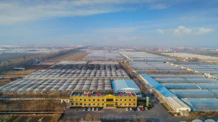 第九屆縣域會(huì)||2019鄉(xiāng)村振興優(yōu)秀案例圖文展成功舉辦(附優(yōu)秀案例)(圖13) 第九屆縣域會(huì)||2019鄉(xiāng)村振興優(yōu)秀案例圖文展成功舉辦(附優(yōu)秀案例)(圖13)