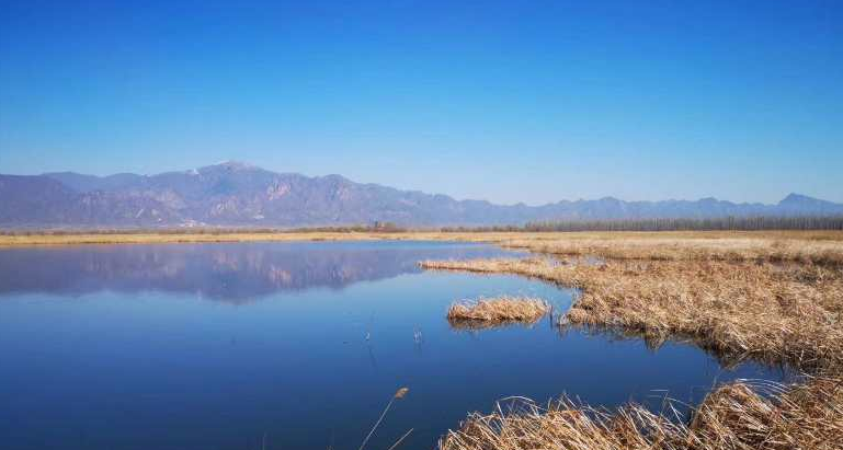 undefined 微信圖片_20200529165257.png