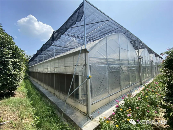 為了幫助園區(qū)的提檔升級(jí)，南京市農(nóng)業(yè)農(nóng)村局特委托中農(nóng)富通編制《南京市農(nóng)業(yè)園區(qū)發(fā)展研究報(bào)告》，以期從產(chǎn)業(yè)發(fā)展路徑、園區(qū)發(fā)展模式、保障措施等多維度為南京市農(nóng)業(yè)園區(qū)未來(lái)三年的發(fā)展做統(tǒng)籌謀劃。 8月19日，中農(nóng)(圖6)