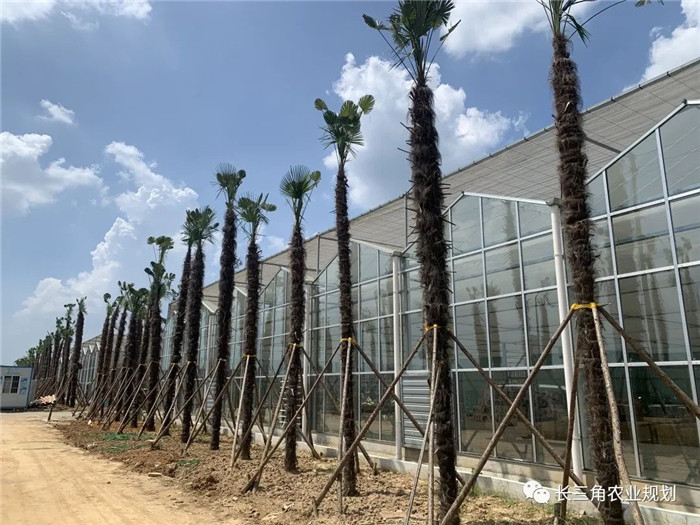 為了幫助園區(qū)的提檔升級(jí)，南京市農(nóng)業(yè)農(nóng)村局特委托中農(nóng)富通編制《南京市農(nóng)業(yè)園區(qū)發(fā)展研究報(bào)告》，以期從產(chǎn)業(yè)發(fā)展路徑、園區(qū)發(fā)展模式、保障措施等多維度為南京市農(nóng)業(yè)園區(qū)未來(lái)三年的發(fā)展做統(tǒng)籌謀劃。 8月19日，中農(nóng)(圖10)