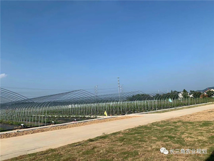 為了幫助園區(qū)的提檔升級(jí)，南京市農(nóng)業(yè)農(nóng)村局特委托中農(nóng)富通編制《南京市農(nóng)業(yè)園區(qū)發(fā)展研究報(bào)告》，以期從產(chǎn)業(yè)發(fā)展路徑、園區(qū)發(fā)展模式、保障措施等多維度為南京市農(nóng)業(yè)園區(qū)未來(lái)三年的發(fā)展做統(tǒng)籌謀劃。 8月19日，中農(nóng)(圖21)