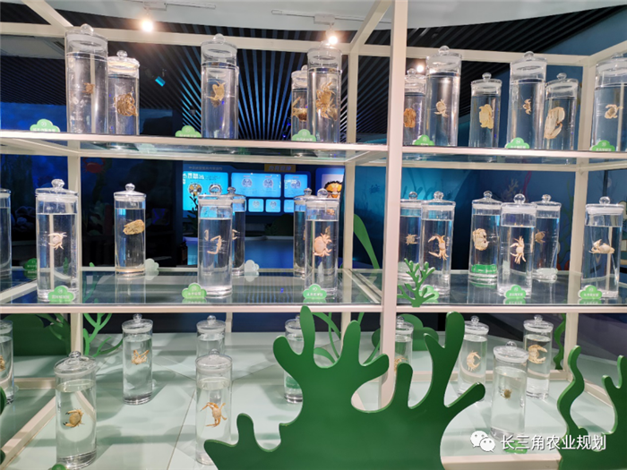 9月1日，中農富通團隊開啟了高淳區(qū)域內現(xiàn)代農業(yè)示范園的調研工作，此次高淳區(qū)農業(yè)園區(qū)調研由中農富通長三角農業(yè)規(guī)劃科學研究所所長薛欣艷與中國農業(yè)大學規(guī)劃研究所園區(qū)規(guī)劃部分管總工趙嬋璞帶隊。(圖5)