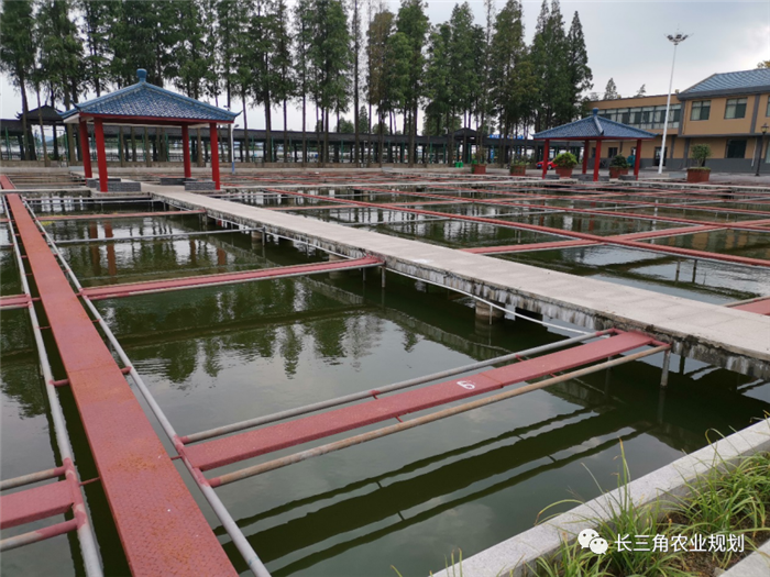 9月1日，中農富通團隊開啟了高淳區(qū)域內現(xiàn)代農業(yè)示范園的調研工作，此次高淳區(qū)農業(yè)園區(qū)調研由中農富通長三角農業(yè)規(guī)劃科學研究所所長薛欣艷與中國農業(yè)大學規(guī)劃研究所園區(qū)規(guī)劃部分管總工趙嬋璞帶隊。(圖7)