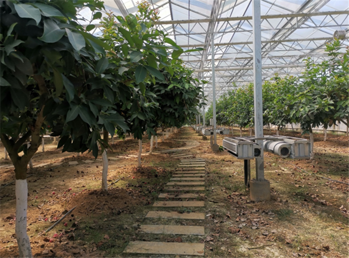 9月3日，中農(nóng)富通調(diào)研組兵分兩路對(duì)南京高淳區(qū)武家嘴現(xiàn)代農(nóng)業(yè)產(chǎn)業(yè)示范園區(qū)和棲霞區(qū)龍?zhí)冬F(xiàn)代農(nóng)業(yè)產(chǎn)業(yè)示范園區(qū)的調(diào)研工作。(圖5)