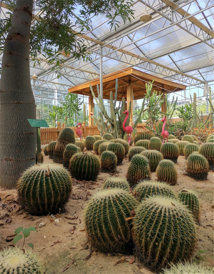 9月3日，中農(nóng)富通調(diào)研組兵分兩路對(duì)南京高淳區(qū)武家嘴現(xiàn)代農(nóng)業(yè)產(chǎn)業(yè)示范園區(qū)和棲霞區(qū)龍?zhí)冬F(xiàn)代農(nóng)業(yè)產(chǎn)業(yè)示范園區(qū)的調(diào)研工作。(圖11)