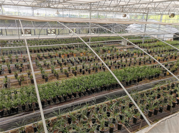 9月3日，中農(nóng)富通調(diào)研組兵分兩路對(duì)南京高淳區(qū)武家嘴現(xiàn)代農(nóng)業(yè)產(chǎn)業(yè)示范園區(qū)和棲霞區(qū)龍?zhí)冬F(xiàn)代農(nóng)業(yè)產(chǎn)業(yè)示范園區(qū)的調(diào)研工作。(圖12)