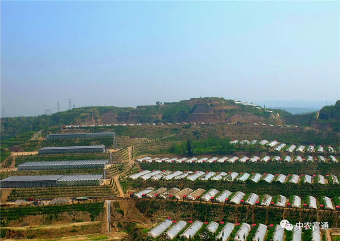 重磅！歷史性的一刻！我國832個國家級貧困縣全部脫貧摘帽(圖4)