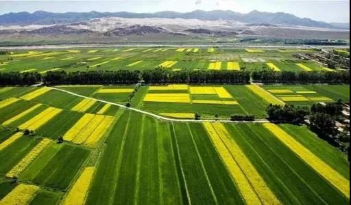 最高獎補(bǔ)8000萬！建設(shè)一批鄉(xiāng)村振興集成創(chuàng)新示范縣(圖6)