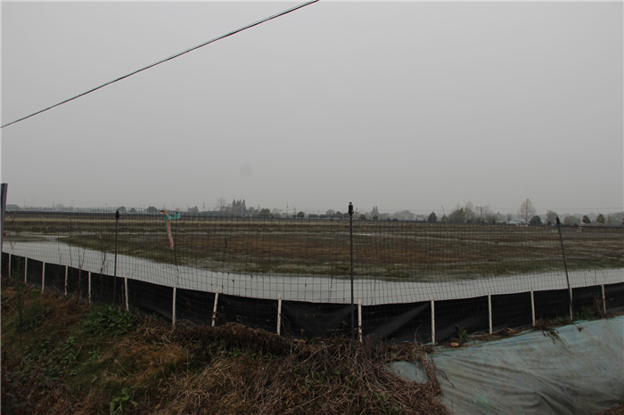 《灣沚區(qū)花橋鎮(zhèn)十四五現(xiàn)代農(nóng)業(yè)發(fā)展規(guī)劃》初期調(diào)研工作順利完成！(圖4)