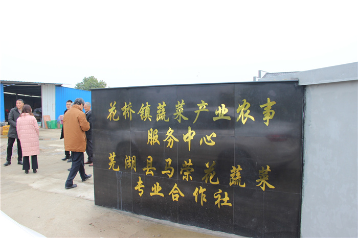 《灣沚區(qū)花橋鎮(zhèn)十四五現(xiàn)代農(nóng)業(yè)發(fā)展規(guī)劃》初期調(diào)研工作順利完成！(圖6)