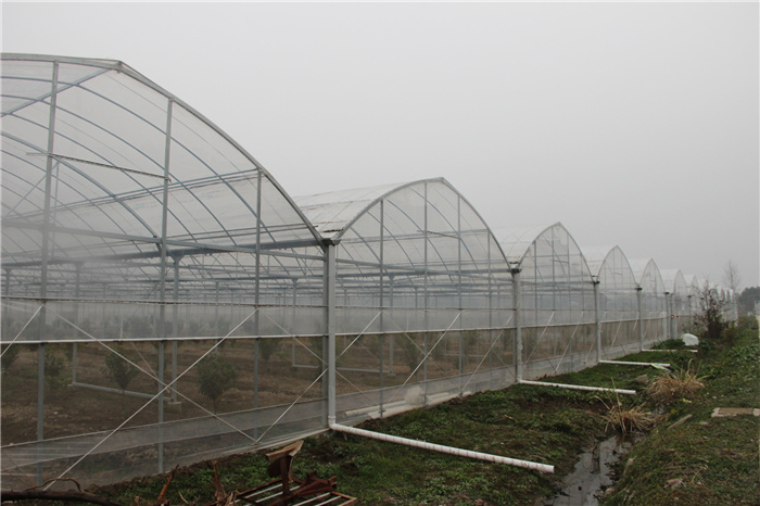 《灣沚區(qū)花橋鎮(zhèn)十四五現(xiàn)代農(nóng)業(yè)發(fā)展規(guī)劃》初期調(diào)研工作順利完成！(圖13)