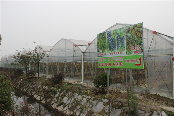 《灣沚區(qū)花橋鎮(zhèn)十四五現(xiàn)代農(nóng)業(yè)發(fā)展規(guī)劃》初期調(diào)研工作順利完成！(圖14)